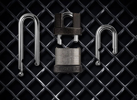 iCHANGE PRO KIT | 4-IN-1 Padlock System | 2-Lock, 4-Shkl, 8ft. Cbl